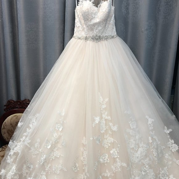 Stella York for Essense of Australia Blush Lace Ballgown Wedding Dress Size 6, - Picture 5 of 9